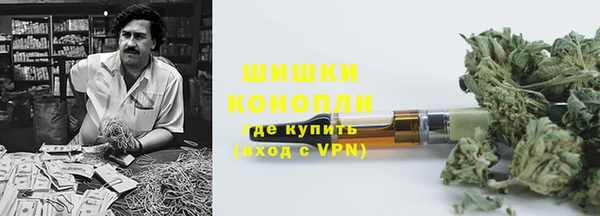 стаф Осташков