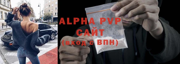 стаф Осташков