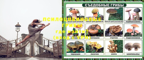 стаф Осташков