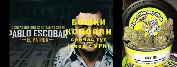 стаф Осташков