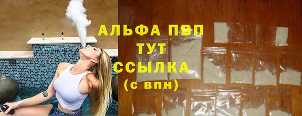 стаф Осташков