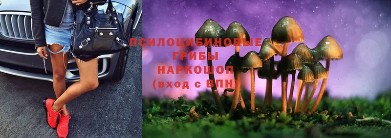 Галлюциногенные грибы MAGIC MUSHROOMS Надым