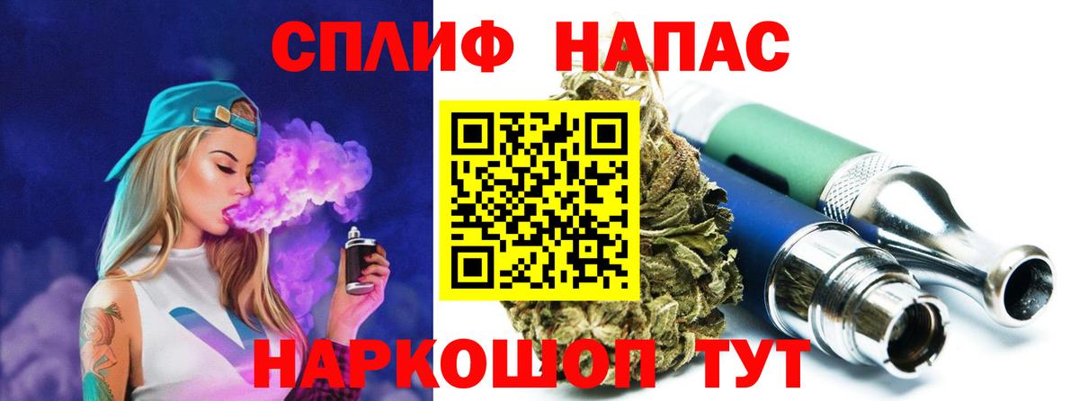 Бошки Шишки планчик Надым